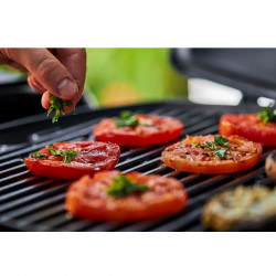 Gratar electric Weber Q1400 WB 52020079, 2200 W, 43x32 cm, Carcasa aluminiu turnat, Tava grasimi, Gri