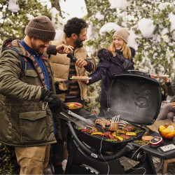 Електрическо барбекю Weber Q2400 WB 55020879, 2200 W, 55x39 cm, Капак и корпус от лят алуминий, Подвижна тава за мазнини, Тъмносив