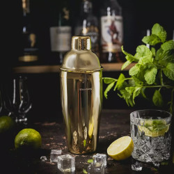 Klausberg KB 7649 Cocktail Shaker, 750 ml, Mirror Finish, Gold