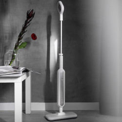 AENO ASM0002 Steam Iron, 1200W, 0.275L, Fast Heating, White/Gray