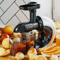 Storcator de fructe Slow juicer Adler AD 4130, 150W, 605ML, 90-105 rpm, Rotatie inversa, Negru/Gri