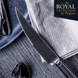 Set of 2 Royal van Kempen & Begeer CC004847-001 steak knives, Glossy, Silver