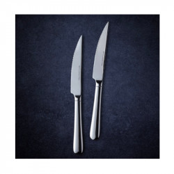 Set of 2 Royal van Kempen & Begeer CC004847-001 steak knives, Glossy, Silver