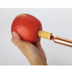 Kinghoff KH 1803 Fruit Corer, Stainless Steel, Copper Color
