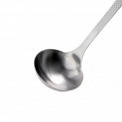 Tasty Ladle 678163, Comfortable modern handle, 30 cm, Stainless steel, Silver
