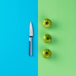 Tasty 678240 Peeling Knife, Soft-Grip Handle, 9 cm, Stainless Steel, Blue