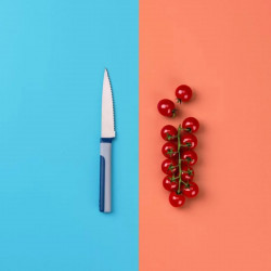 Tasty 678242 Serrated Kitchen Knife, Soft-Grip Handle, 11.5 cm, Stainless Steel, Blue