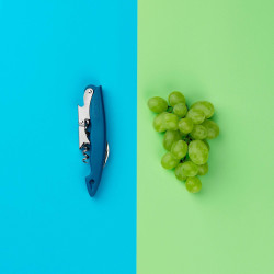 Tasty 678385 Corkscrew, Built-in Beer Bottle Opener, Stainless Steel, Blue