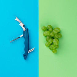 Tasty 678385 Corkscrew, Built-in Beer Bottle Opener, Stainless Steel, Blue