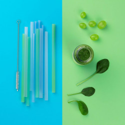 12 straws + Tasty brush 678414, 1 x 20 cm, Plastic, Multicolor