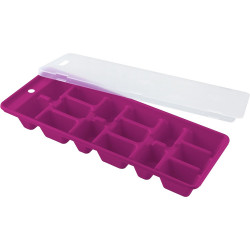 Fackelmann 49368 Ice Cube Tray with Lid, 25x10 cm, Multicolor