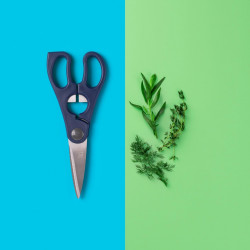 Tasty Ocean Blue Kitchen Shears 678412, Bottle Opener, 20 cm, Stainless Steel, Blue