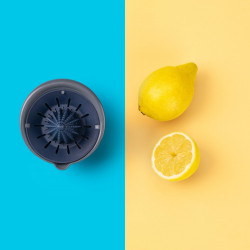 Tasty Ocean Blue 678393 Manual Citrus Juicer, 0.6 L Juice Container, Blue/Gray