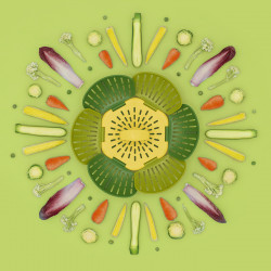 Joseh Joseph Bloom 45030 Steamer, Foldable, BPA-Free, Green