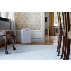 Woods MRD10G Dehumidifier, Up to 40 m², For Bathrooms, 10 L/24 H, Timer, Adjustable Airflow, Hygrostat, White