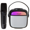 Adler AD 1199 Karaoke Speaker with Microphone, Wireless, 8-hour battery life, USB-C, Bluetooth 5.1, Black