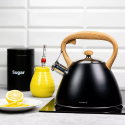 Klausberg KB 7262 Teapot, 22 cm, 3 L, Whistling, Induction, Stainless Steel