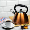 Klausberg KB 7209 Kettle, 3 liters, Induction, Whistling, Bronze