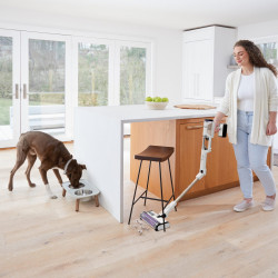 Σκούπα όρθια Shark IW3611EU, 240W, 0.4 l, 60 λεπτά αυτονομία, ανίχνευση άκρων και ρύπων, QuadClean, αντι-αλλεργιογόνα, LED, Λευκό