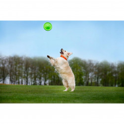 Frisbee pentru caini Flyber 62175, 22 cm, Forma unica, Inofensiv pentru dintii cainilor, Verde