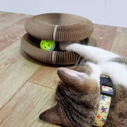 Preyplay Interactive Cat Toy, Scratching Board, Foldable Design, Cat Ball, Brown
