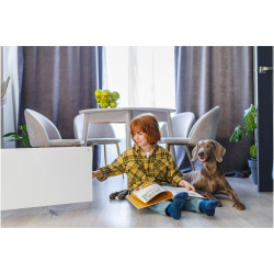 AENO AGH0001S Electric Convection Heater, 700W, 30 m², Mobile App, Ultra-Slim, Wi-Fi, White