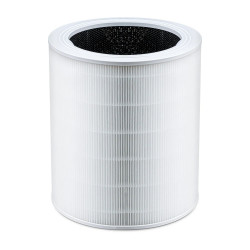 Filter for the Levoit Core...