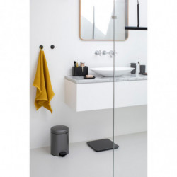 Set 2 agatatoare prosoape Brabantia ReNew 1003485, Kit de montare inclus, Pana la 2 kg, Gri inchis
