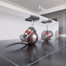 Прахосмукачка с контейнер Dyson Cin BigBall AbPr, 800W, Без загуба на всмукателна мощност,