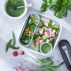 Black+Blum BAO-BA010 Food Container, 1 L, Inner Compartment, BPA-Free, Dishwasher-Safe, White/Green