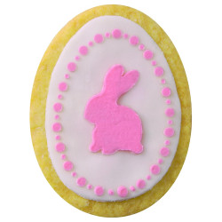 Set ustensile decorative biscuiti pentru Paste  Dr.Oetker 1879, 5 piese, 4 decoratii, 1 matrita, Otel inoxidabil, Argint