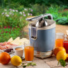 Πρέσα εσπεριδοειδών Ariete VINTAGE JUICER 0413/05, 85W, Μεταλλικό σώμα, Αθόρυβη λειτουργία, 2 εξαρτήματα, Μπλε