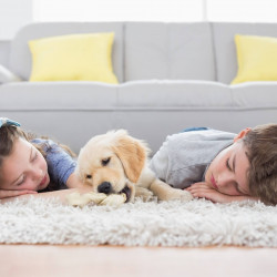 Вертикална безжична прахосмукачка SCOPA 22V