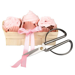 Foarfeca de bucatarie Dr.Oetker Retro 4615, 17 cm, Otel inoxidabil, Argintiu