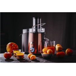 Storcator de fucte si legume Adler AD 4129, 1000/2000W, 2 viteze, 1L, Sistem anti-picurare, Negru/Bronz