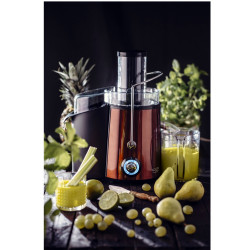 Adler AD 4129 gyümölcscentrifuga, 1000/2000W, 2 sebességfokozat, 1l, csepegésgátló rendszer, fekete/bronz színű