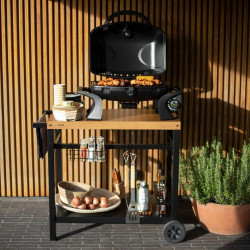 Hordozható gázgrill Livoo DOC275, 3.5kW, Automatikus gyújtás, Fekete