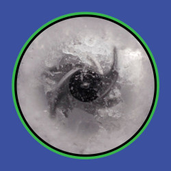 Blender Ninja Detect Pro TB201EU, 1200W, 2,1 L, 14 viteze, Timer, Afisaj cu LED, Fara BPA, Negru/Gri