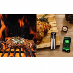 Ninja ProChef WP100EU Kitchen Thermometer, Bluetooth, Mobile App, Internal and Ambient Temperature Sensor, Up to 370°C, Black/Silver