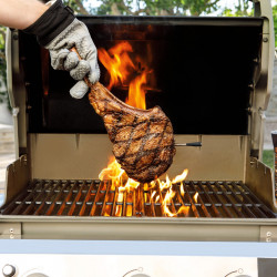 Θερμόμετρο κουζίνας Ninja ProChef WP100EU, Bluetooth, εφαρμογή για κινητά, αισθητήρας θερμοκρασίας εσωτερικού χώρου και περιβάλλοντος, έως 370C, μαύρο/ασημί