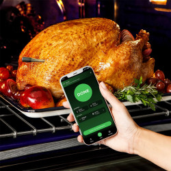 Ninja ProChef WP100EU Kitchen Thermometer, Bluetooth, Mobile App, Internal and Ambient Temperature Sensor, Up to 370°C, Black/Silver