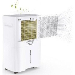 Attractive TRITON 20 Dehumidifier, 340W, 2.5 L, Up to 24 L in 24 hours, R290, Timer, Automatic Defrost, Humidity Sensor, White