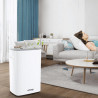 Attractive TRITON 20 Dehumidifier, 340W, 2.5 L, Up to 24 L in 24 hours, R290, Timer, Automatic Defrost, Humidity Sensor, White