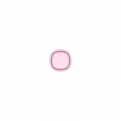 Periuta de dinti electrica pentru copii Oclean X Kids Set, 2.5W, 72000 rpm, 5 moduri, Timer, Autonomie până la 40 zile, Oclean OS, Tip C, Husa, Roz