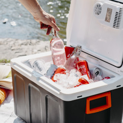 Adler AD 8090 Cooler, 40 L, 58 W, 12/220/240 V, Climate Class N, Special Insulation C5H10, Gray