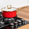 Goldmann GM 4521-16R Casserole with Glass Lid, 16x8 cm, 1.5 L, Enamel, Induction, Red/Antique Gold