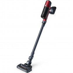 Aspirator vertical Rowenta...