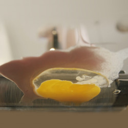 Κάθετη ηλεκτρική σκούπα Tineco Floor One S5 Combo Plus, 22W, 0.45 l βρώμικο/0.5 l καθαρό/0.16 l σκόνη, Wi-Fi, iLoop Smart Sensor, Αυτοκαθαρισμός, Αυτονομία 22 λεπτά, Μέχρι 90m2, Μαύρο