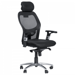 Carmen 7520 Ergonomic...