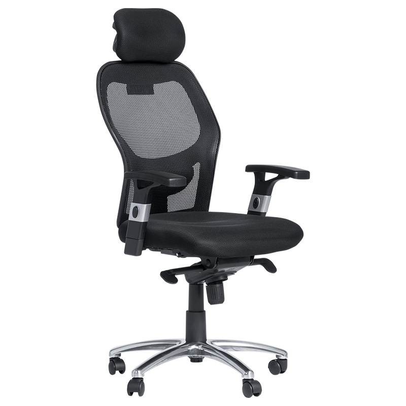 Carmen 7520 Ergonomic Chair, Up to 130 kg, Lockable in Various Positions, Tilt Adjustment, Lumbar Support, Black